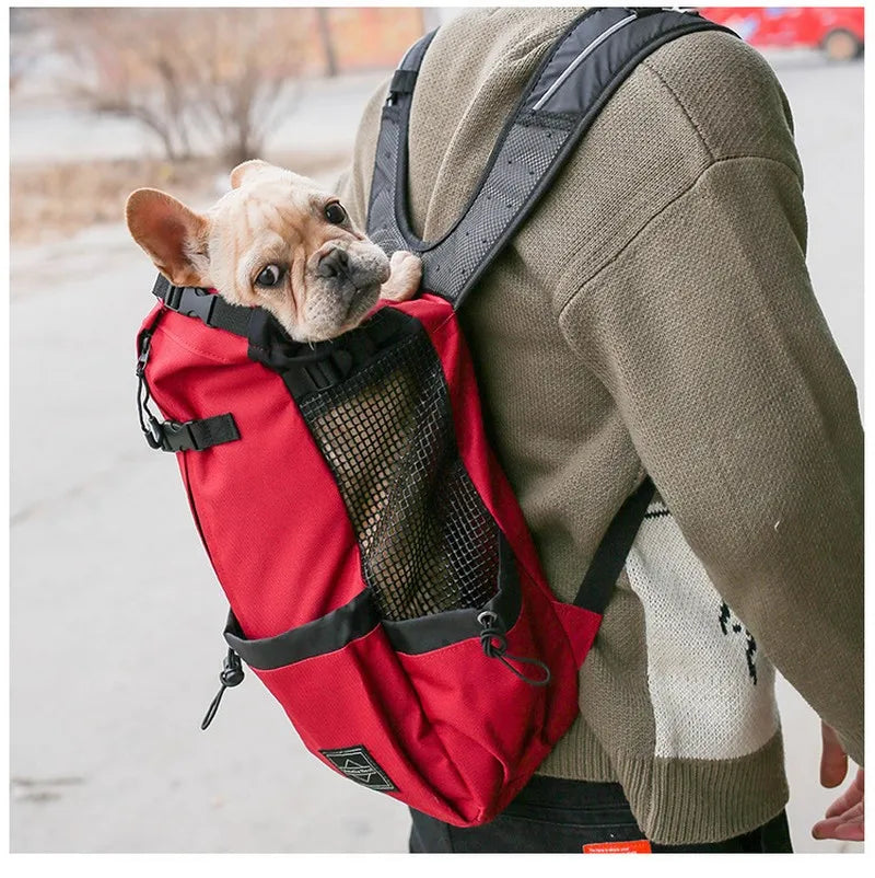 Pet Travel Backpack