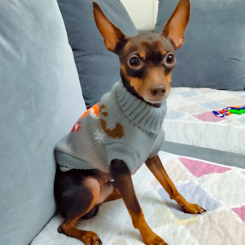 Cute Dog Sweater