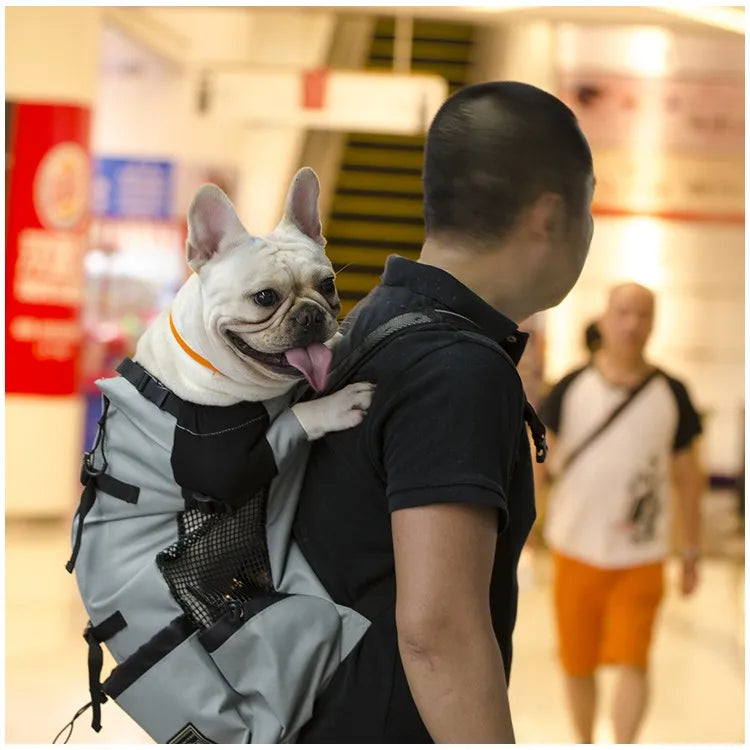 Pet Travel Backpack