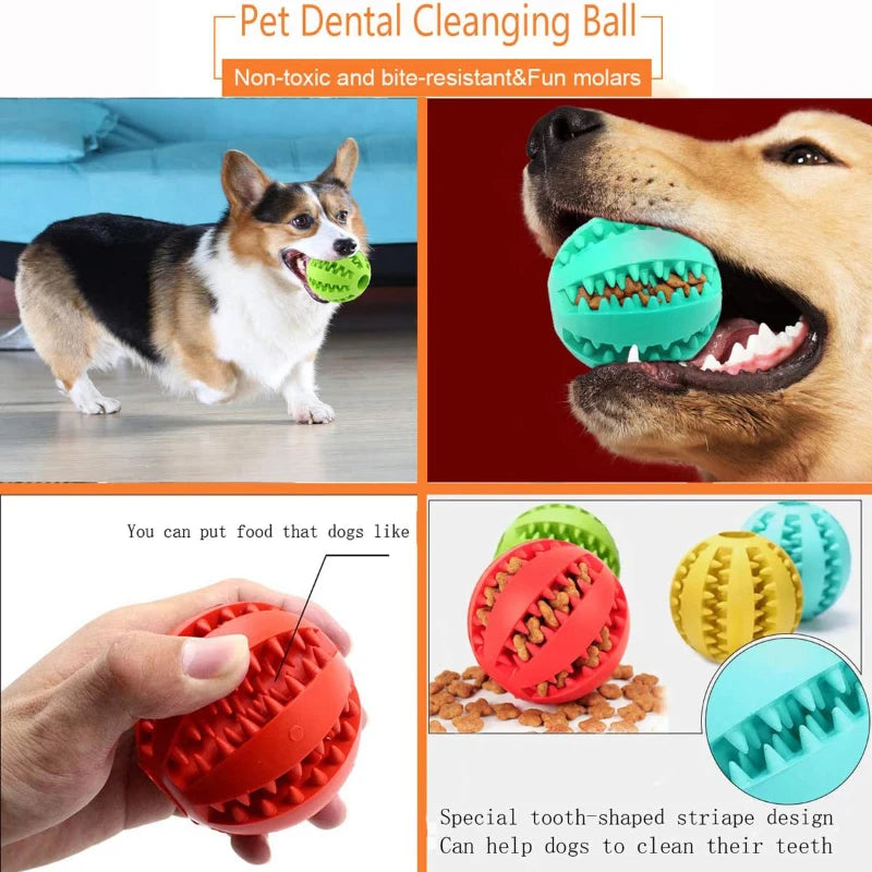 Interactive Rubber Dog Toy