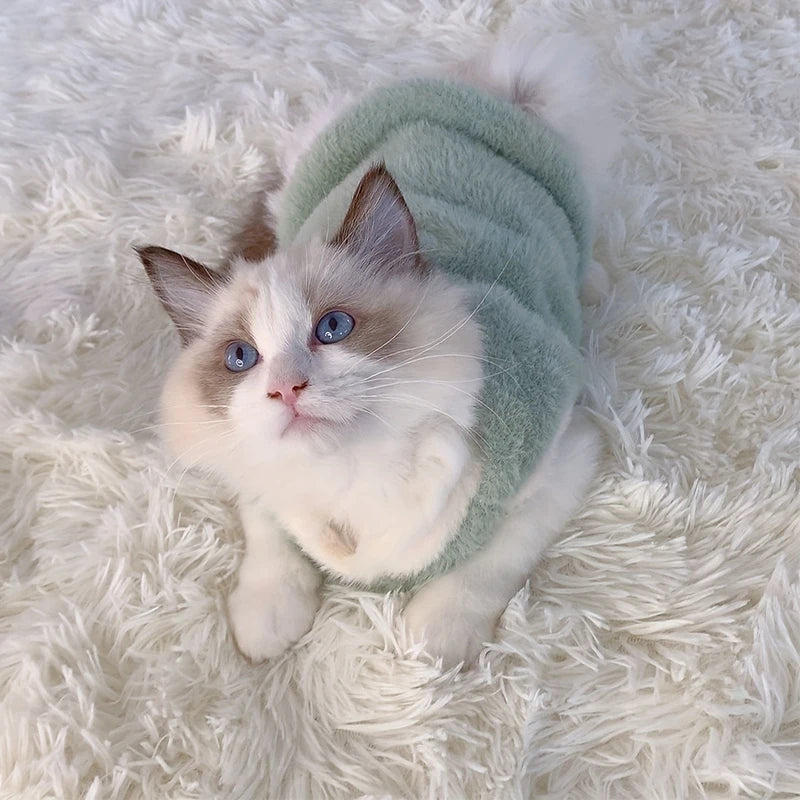 Warm Kittens Clothes