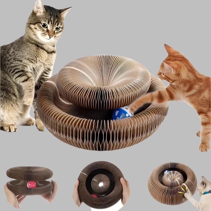 Magic Cat Scratcher Toy