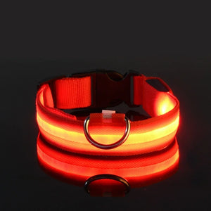 Dog Collar LED Night Safety Flashing