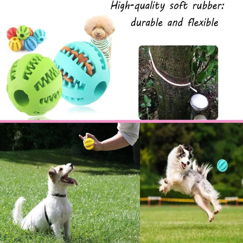 Interactive Rubber Dog Toy