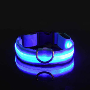 Dog Collar LED Night Safety Flashing