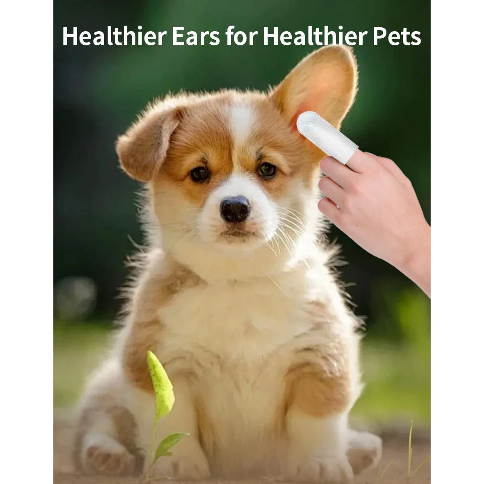 Pet Ear Cleaning Wipes & Care Fingertips