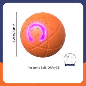 Smart Interactive Dog Toy