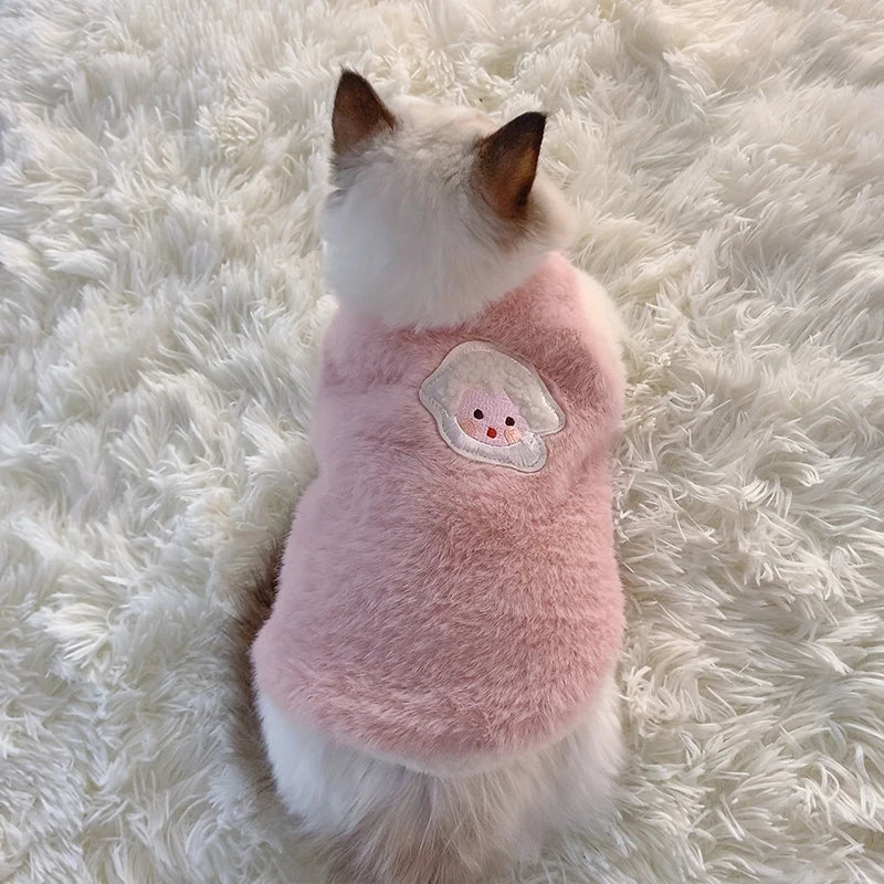 Warm Kittens Clothes