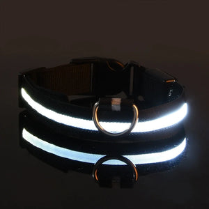 Dog Collar LED Night Safety Flashing