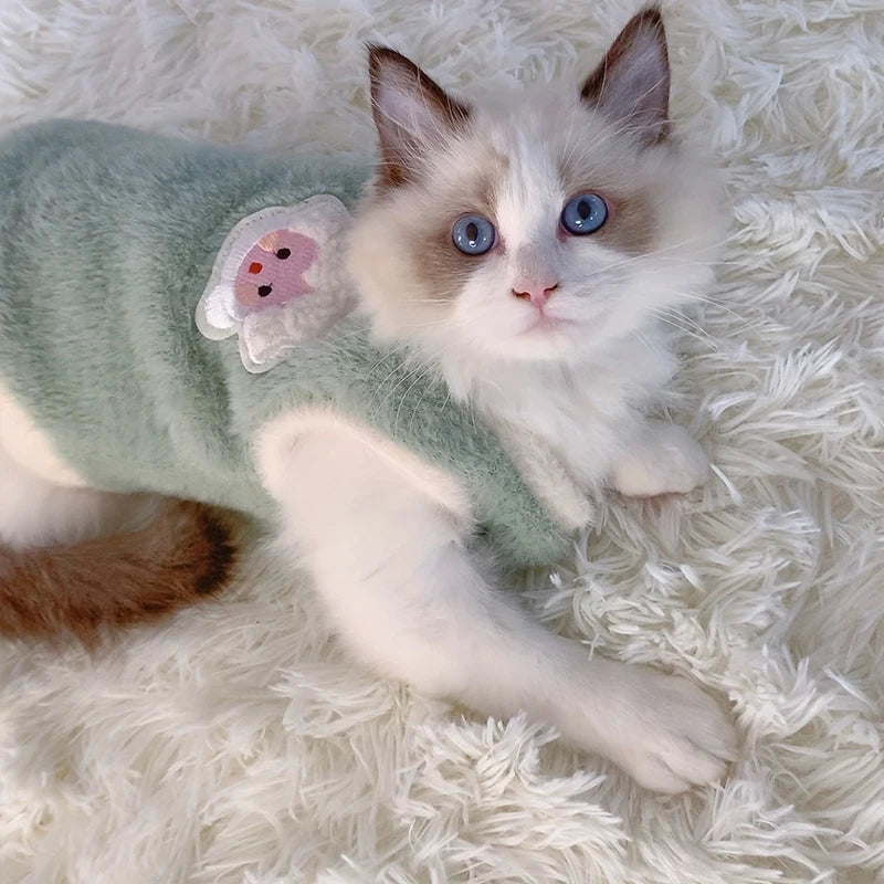 Warm Kittens Clothes