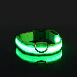 Dog Collar LED Night Safety Flashing