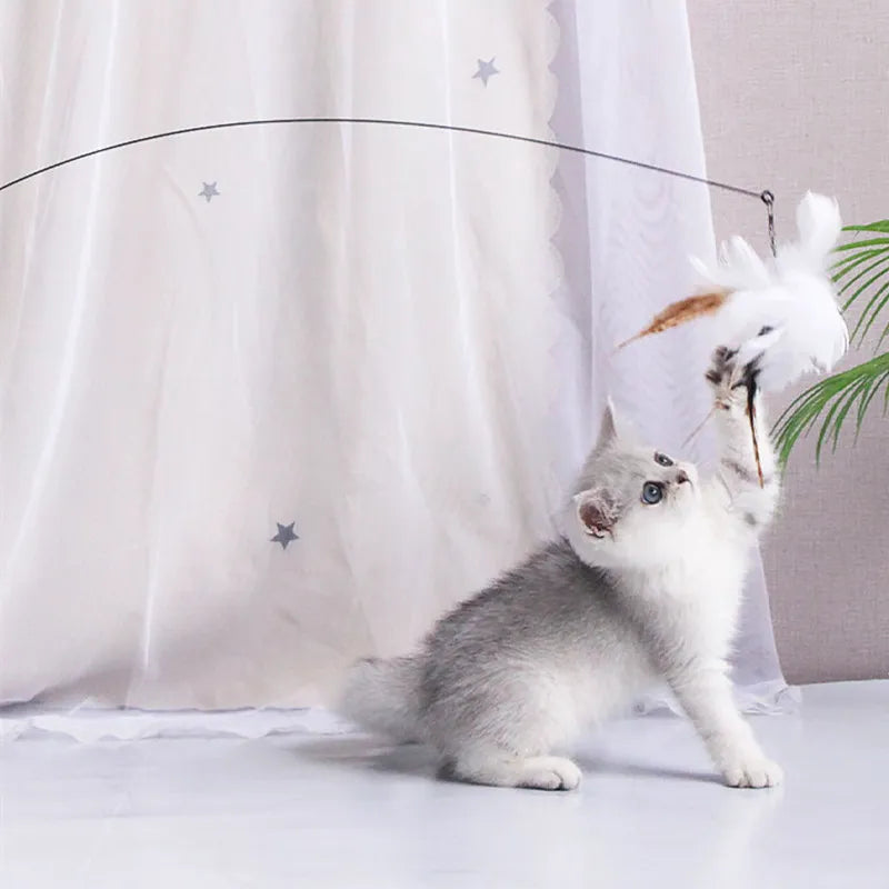 Interactive Feather Cat Toy