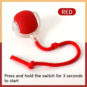 Smart Interactive Dog Toy