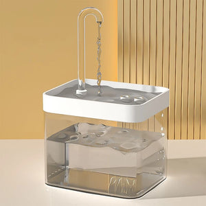 Auto Filter Transparent Water Fountain