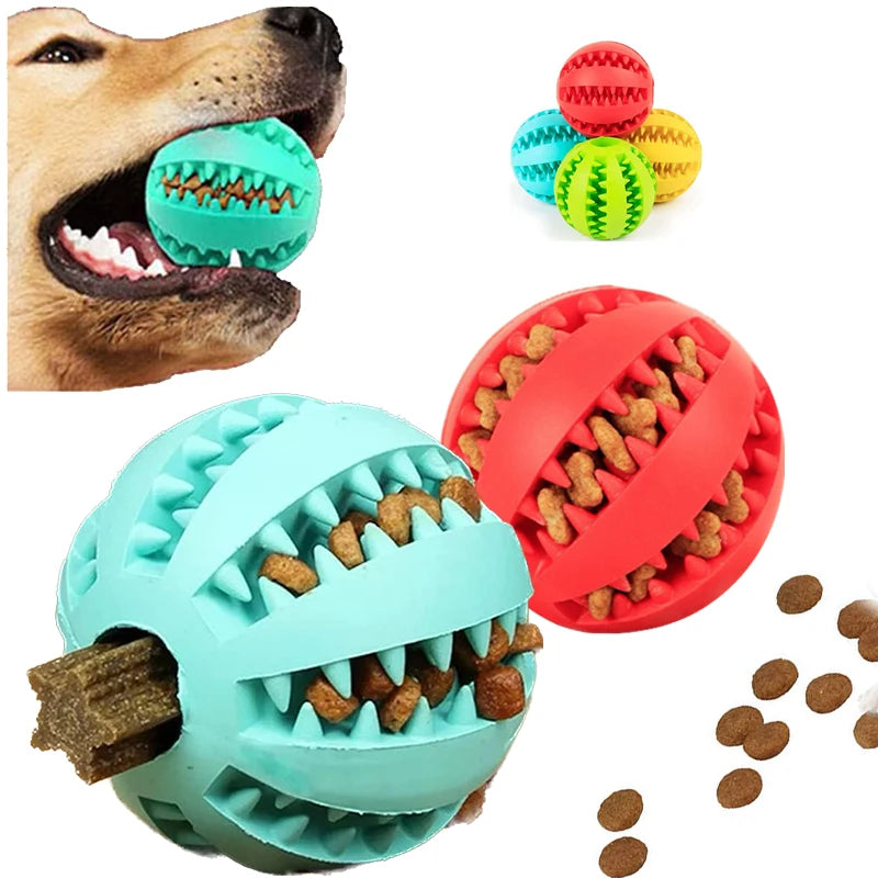 Interactive Rubber Dog Toy