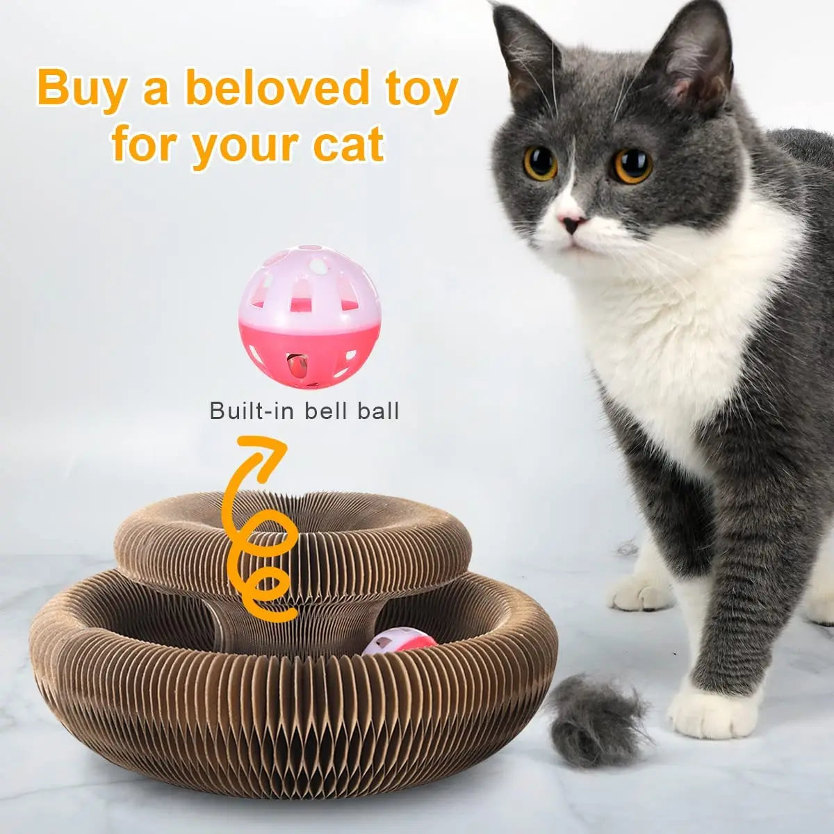 Magic Cat Scratcher Toy