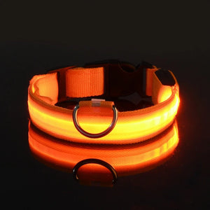 Dog Collar LED Night Safety Flashing