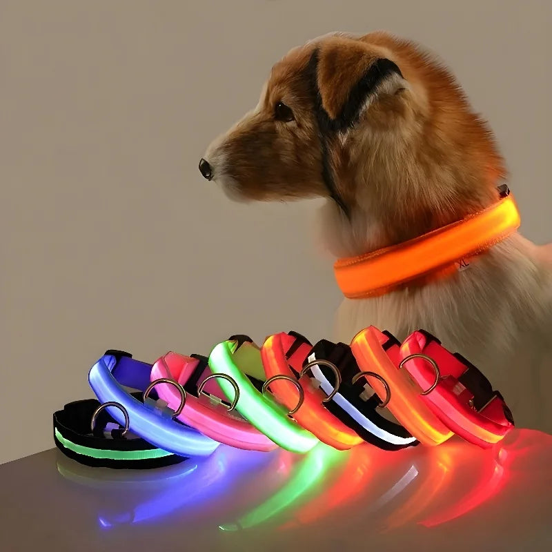 Dog Collar LED Night Safety Flashing