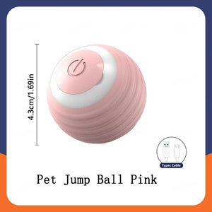 Smart Interactive Dog Toy