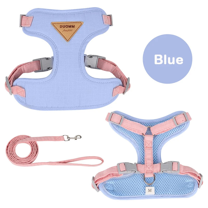 Puppy Harness Leash Set